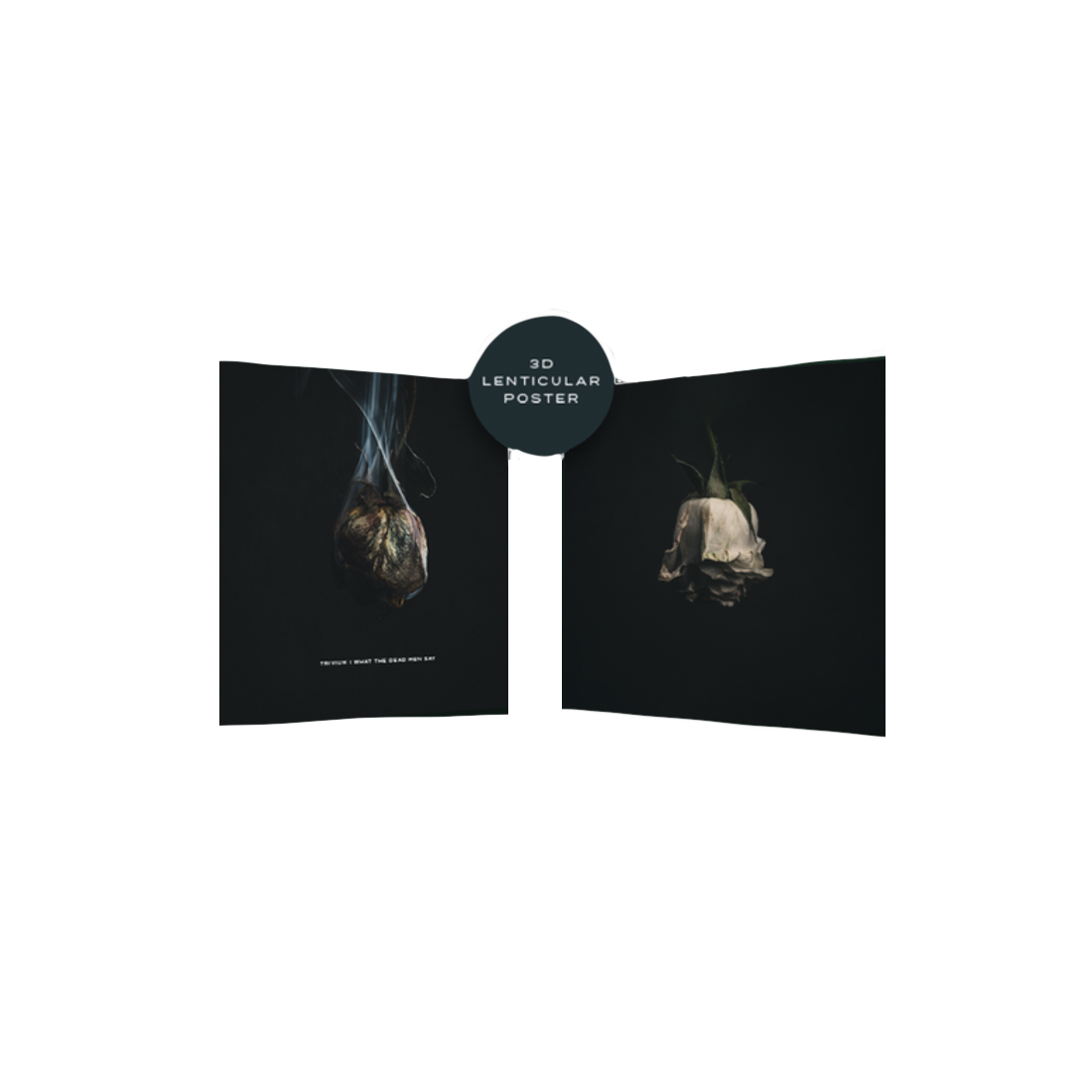 Lenticular Poster