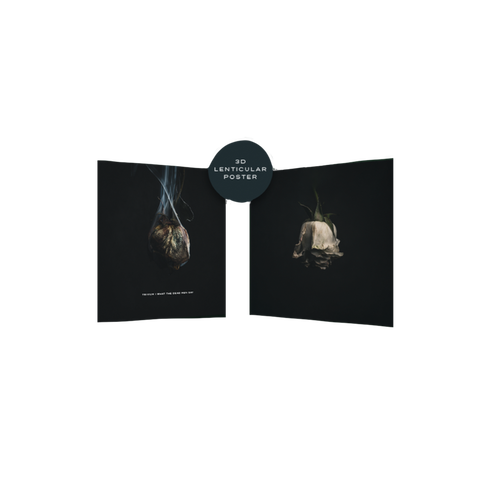 Lenticular Poster