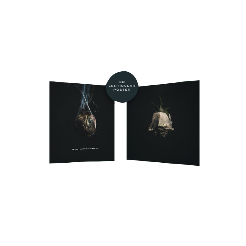 Lenticular Poster